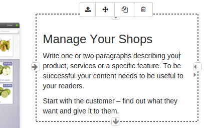 website manage shop 4